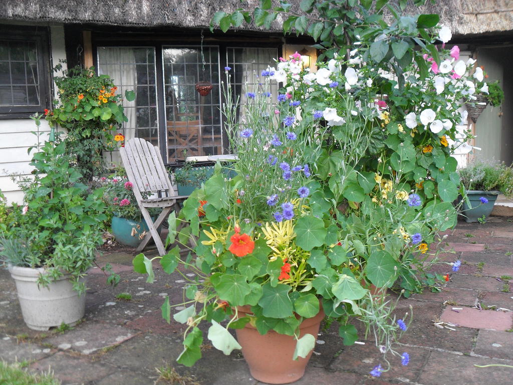 Church Hall Farm Bed And Breakfast Broxted Ngoại thất bức ảnh